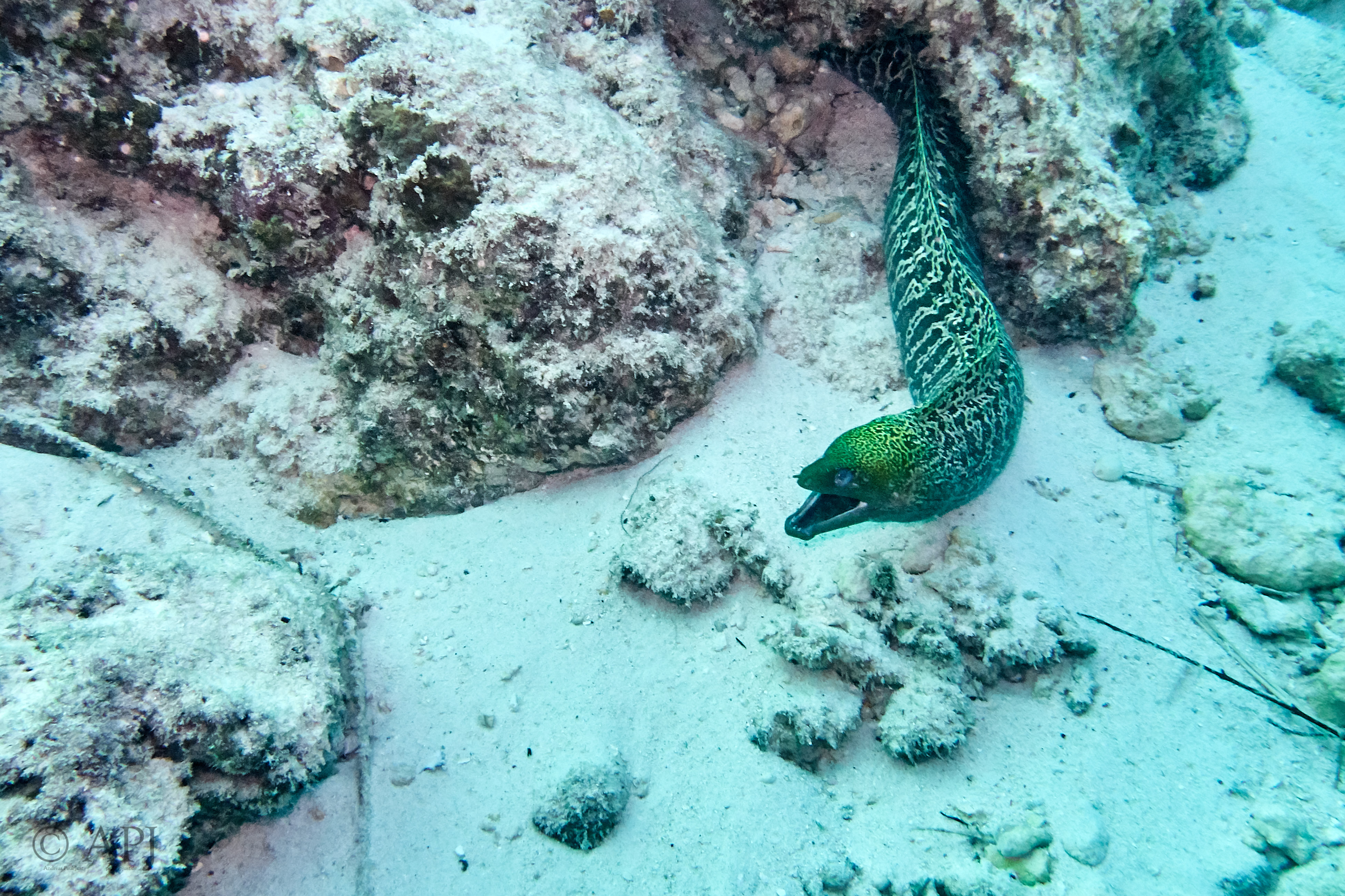 000034 13 08 17  Canon PowerShot G7 X Mark II   Malediven2017